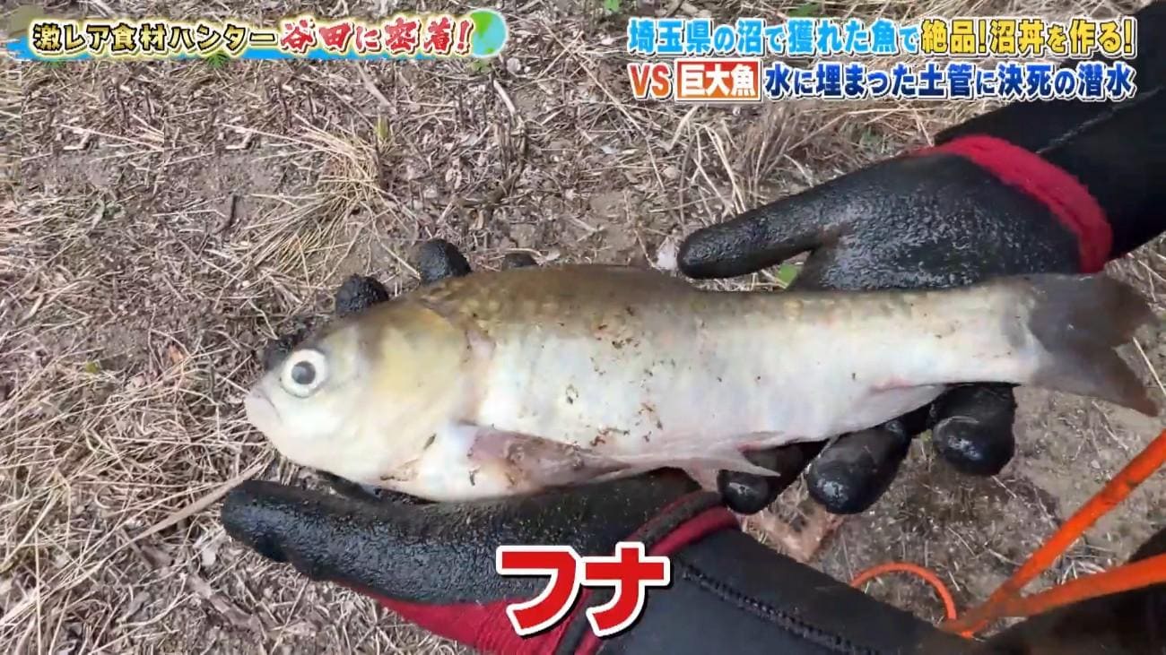 記事画像