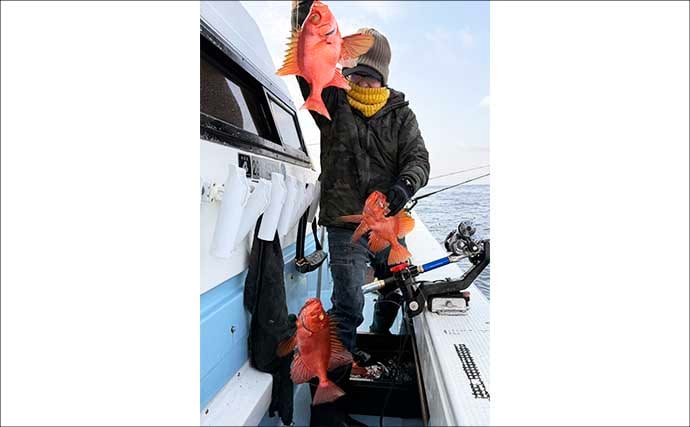【沖釣り釣果速報】根魚釣りでボッコ2.5kg好捕！チカメキントキ・レンコダイ交じりクーラー満タン（福岡）