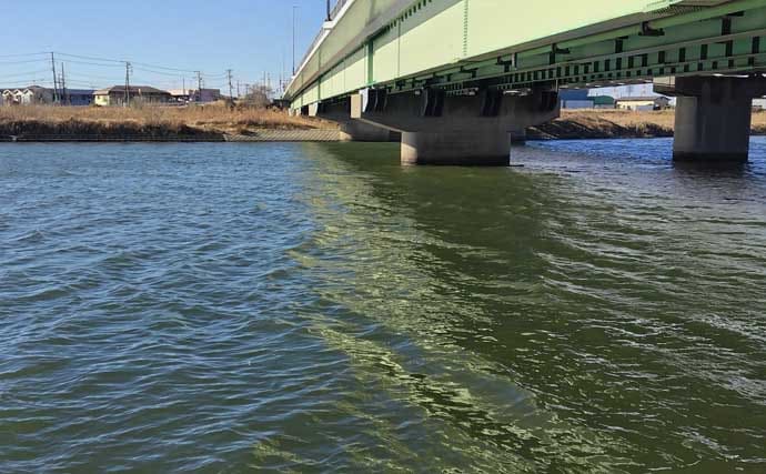 真冬の養老川で83cm「ランカー」シーバス浮上！　バイブレーションにヒット