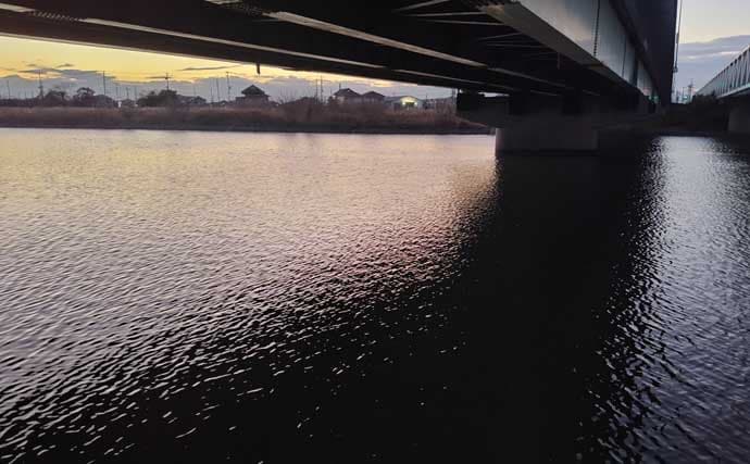 真冬の養老川で83cm「ランカー」シーバス浮上！　バイブレーションにヒット