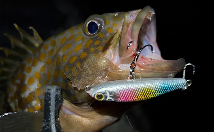 ライトゲームアングラー的「釣れて嬉しい魚」と「嬉しくない魚」