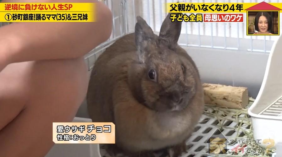 家、ついて行ってイイですか?