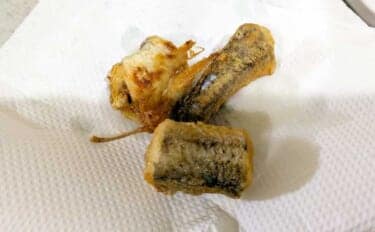 釣魚・外道のグルメ『小型エソの唐揚げ』　小骨はまったく気にならず