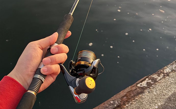 ライトゲームアングラーが実践する「風」対策 【ライン選択・リグ重量・キャスト角度】