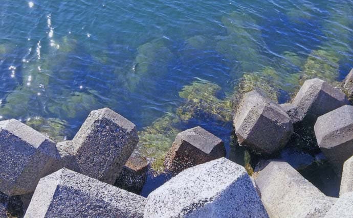 厳寒期の穴釣りでカサゴ2匹手中【三重・河芸漁港】貸し切り堤防をランガン攻略