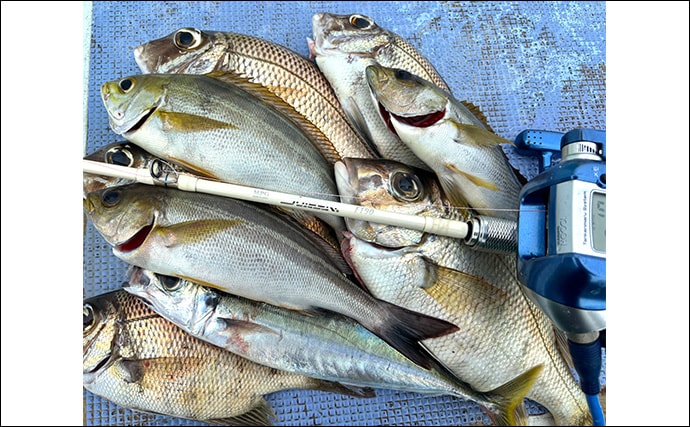 「シマアジ出るか！？」南房シマアジ五目釣りで多彩釣果【安田丸】仕掛け微調整が奏功