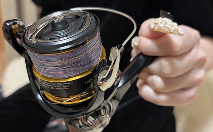 ライトショアジギング（LSJ）に適したPEラインの太さは何号？　状況ごとの選び方を解説