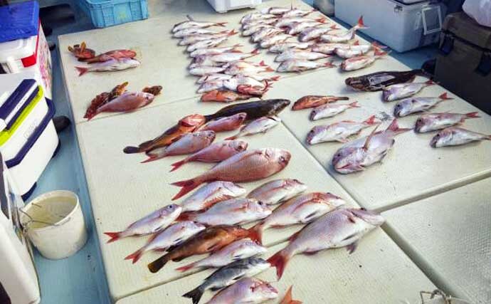 【沖釣り釣果速報】大分沖のテンヤタチウオ釣りでドラゴン級や神龍サイズ続出！（大分・熊本）