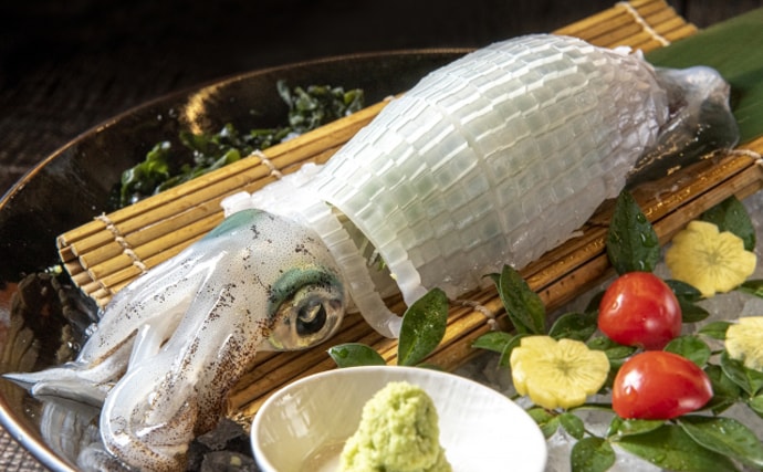 「甘くて美味しい！」は気のせいじゃなかった　本当に甘い魚介たち