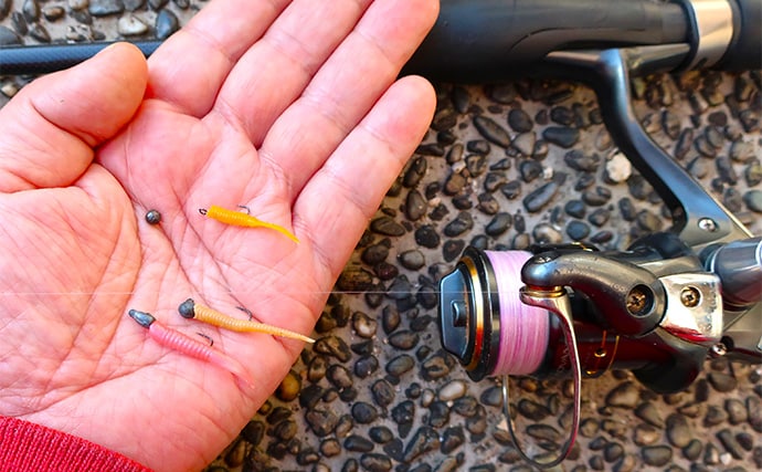 「躍起になって小型メバルを狙ってみた！」 リグ極小化でメバル5匹を手中