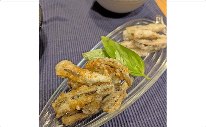 早川港のサビキ釣りでトウゴロウイワシ爆釣！【神奈川】朝イチ1時間で62尾を手中