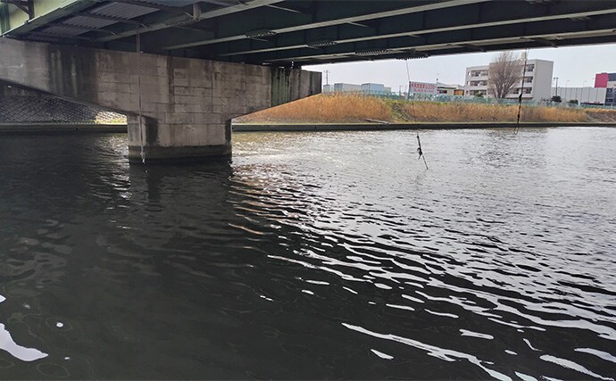 リバーシーバスゲームで62cm頭に良型シーバス3本キャッチ【千葉】流れの変化が肝