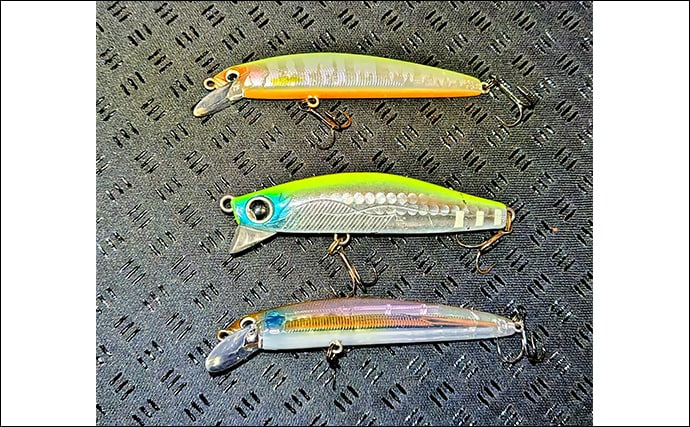 リバーシーバスゲームで62cm頭に良型シーバス3本キャッチ【千葉】流れの変化が肝