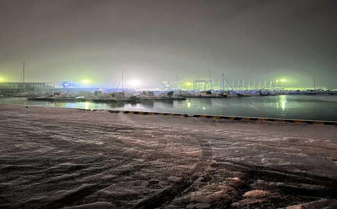 富山湾のスルメイカがノッコミ間近か　「スルメタル」で2桁釣果達成！