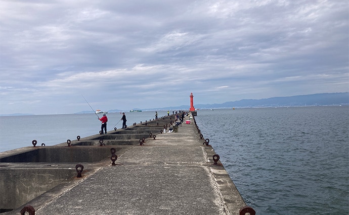 ブレードジグと通常メタルジグを徹底比較　サワラ（サゴシ）が釣れるのはどっち？