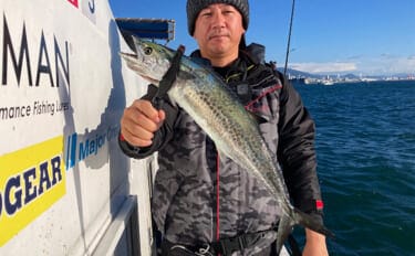 ブレードジグと通常メタルジグを徹底比較　サワラ（サゴシ）が釣れるのはどっち？