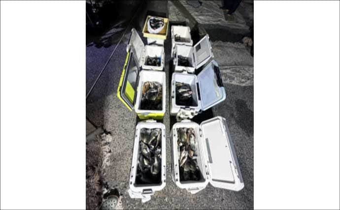 ジギングで極太のブリが続々ヒット！ 関西エリアの【船釣り特選釣果】