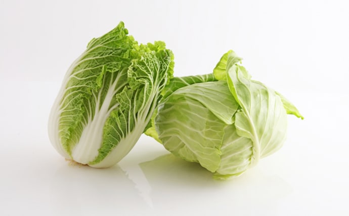 「野沢菜の漬物が魚の生臭さを消す？」 中華料理『酸菜魚』で臭い魚を美味しく食べよう