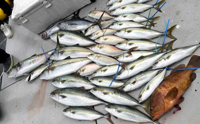 【沖釣り釣果速報】玄界灘の落とし込み釣りでヒラマサ110cm浮上！船中で青物50尾超えも（福岡）