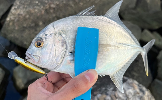 秋のメッキゲームで良型が入れ食い！【和歌山・南紀白浜】ミノー＆ボトムワインドに好反応