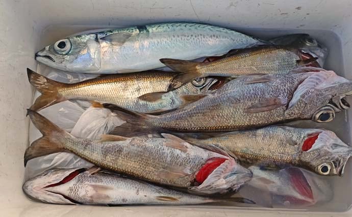 ライト深場釣りでクロムツ連発＆キンメダブルヒット！【相模湾】逆テーパー仕掛けが活躍