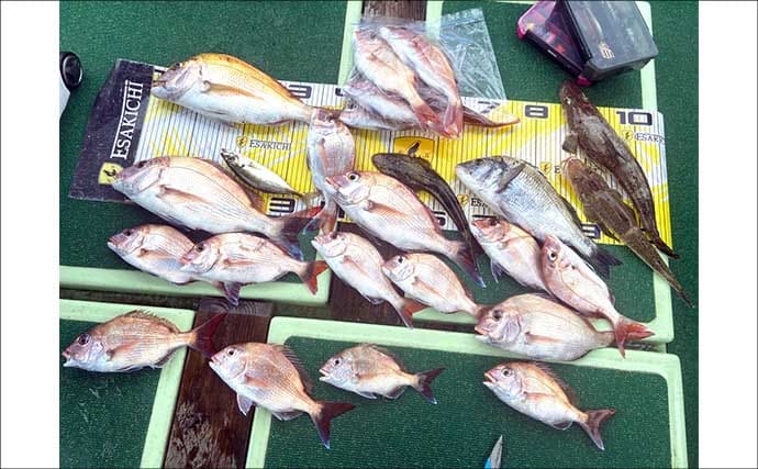 【沖のルアー釣果速報】ティップランでアオリイカ船中23匹！サオ頭は7匹をマーク（三重）