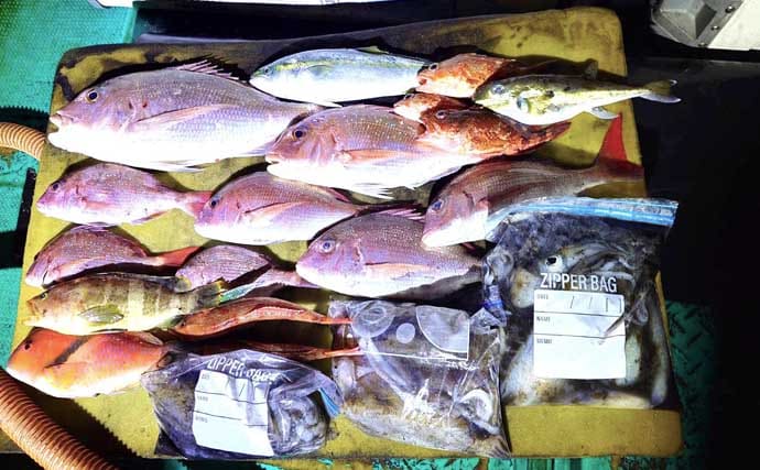 【沖のルアー釣果速報】ティップランでアオリイカ船中23匹！サオ頭は7匹をマーク（三重）