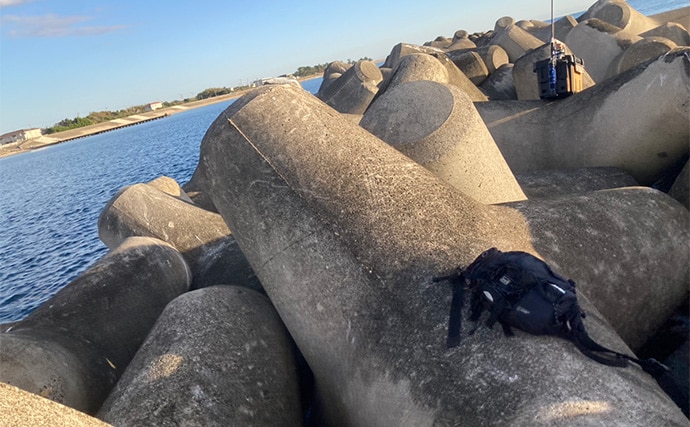 穴釣りで26cm頭に良型カサゴを連打！【三重】釣った魚の内蔵をエサにしたら大正解だった