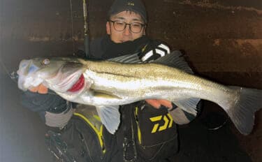 気温1℃「極寒」ナイトシーバスゲームで良型シーバス浮上！　セイゴサイズは連発