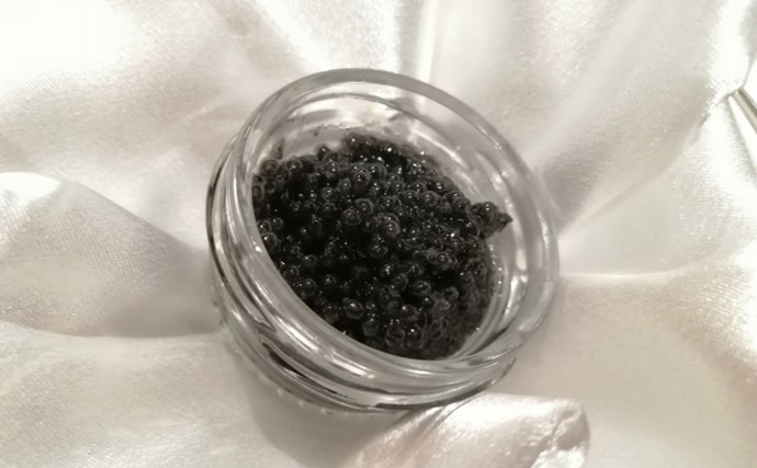 チョウザメはキャビアだけじゃなかった？　刺身は旨味十分で美容にも良し！