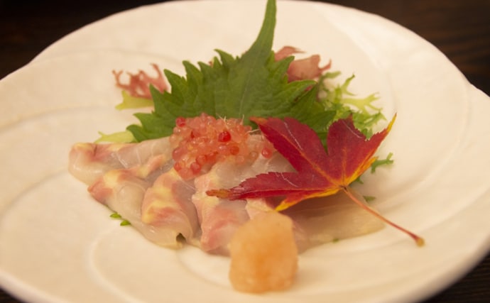 チョウザメはキャビアだけじゃなかった？　刺身は旨味十分で美容にも良し！