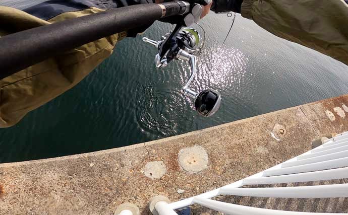 「テクニカルだからこそ面白い？」大阪南港魚つり園でのショアジギ釣行でサゴシのバラシ連発