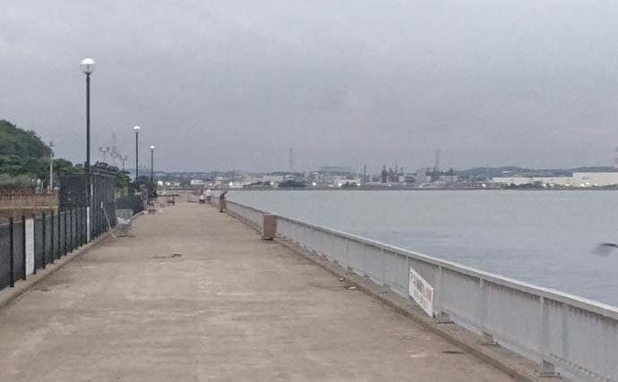 碧南海釣り広場のサビキ釣りでサッパ爆釣!【愛知】ヒイラギ&セイゴも登場