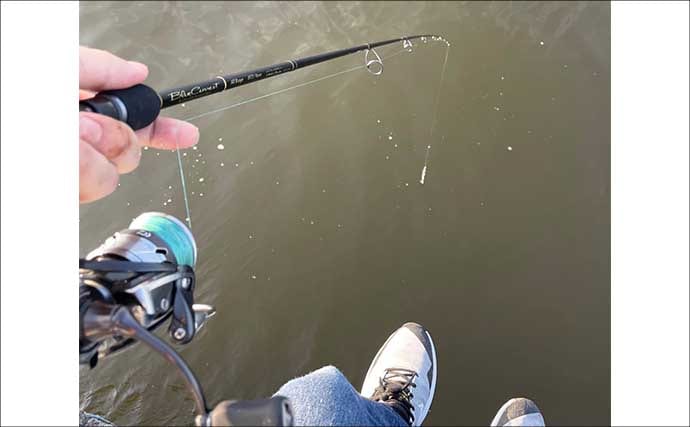 ロッド（釣竿）とリールどちらからお金をかけるべき？　分かりやすさならリールか