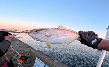 「125gのルアーでも底取り不可?」 激流ポイントでショアジギングに挑戦