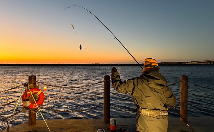 堤防サビキ釣りで25cm頭にアジ40匹手中！【福島】ぶっこみサビキで入れ食い満喫