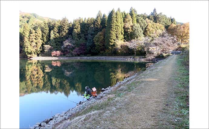 今週のヘラブナ推薦釣り場2025【栃木・栗谷沢ダム】