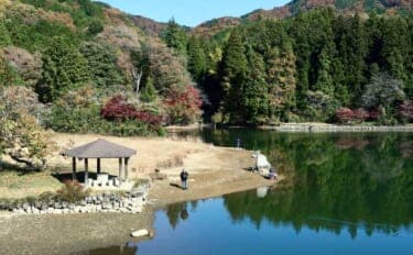 今週のヘラブナ推薦釣り場2025【栃木・栗谷沢ダム】