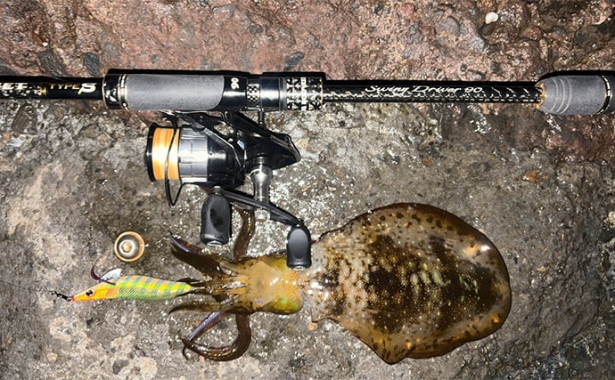 低水温の伊豆エリアでエギング釣行【静岡】ケンサキイカ混じりで本命アオリ手中！