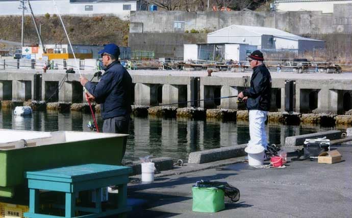 錦漁港の投げサビキ釣りで17cm級主体にアジ29匹好捕【三重】引き潮に苦戦も本命連発