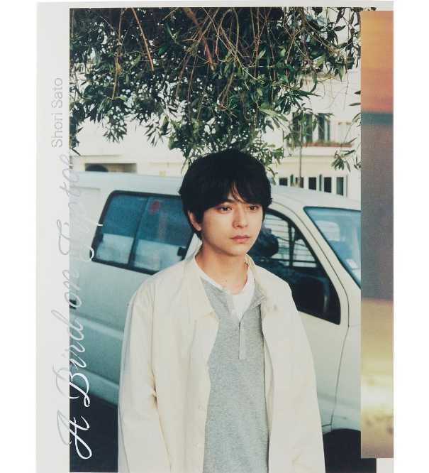 Instagram：佐藤勝利(@shori_sato_official)より