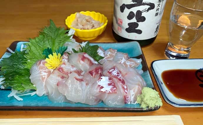 夜の落とし込み釣りでクロダイにスズキをキャッチ！【愛知】活きエビにヒット