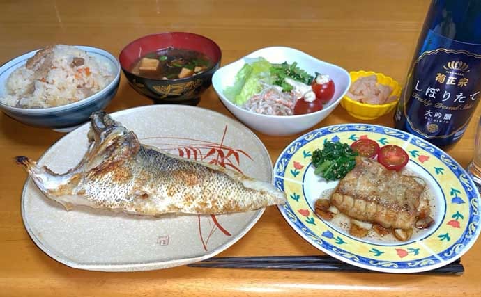夜の落とし込み釣りでクロダイにスズキをキャッチ！【愛知】活きエビにヒット