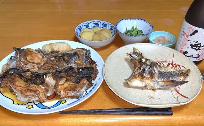 夜の落とし込み釣りでクロダイにスズキをキャッチ！【愛知】活きエビにヒット