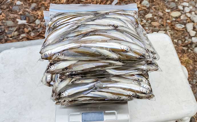 諏訪湖のワカサギ釣りで525尾キャッチ！【長野】底狙いが効いたドーム船釣行