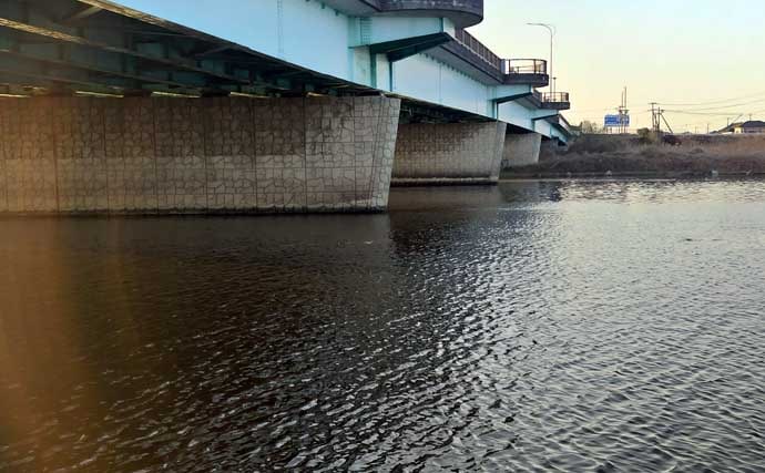 「バチ抜けは確認できず」バイブレーションルアーに60cm級シーバス2連発【千葉】