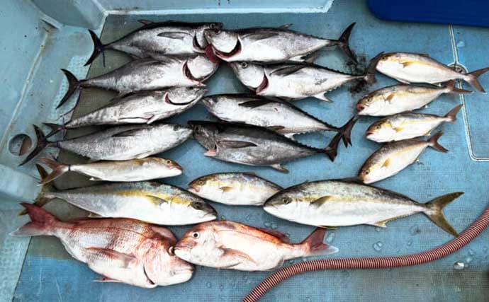 【沖釣り釣果速報】平戸沖のジギング＆キャスティングで10kg超ヒラマサ浮上！（長崎・佐賀）