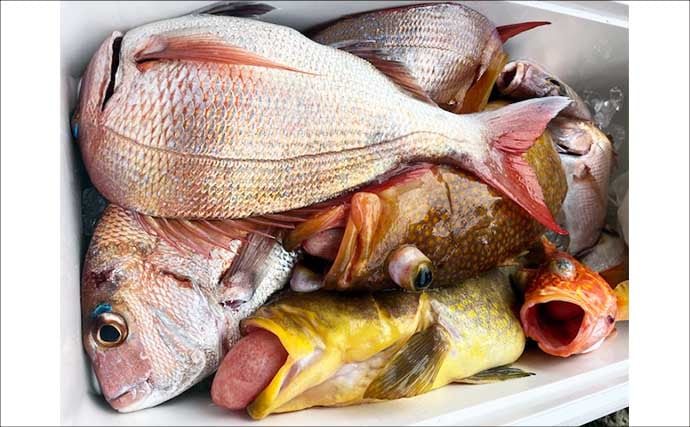 【沖釣り釣果速報】平戸沖のジギング＆キャスティングで10kg超ヒラマサ浮上！（長崎・佐賀）