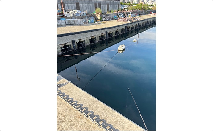 「メバルはどんな場所にいる？」 メバリングで集中的に狙うべき5つのポイント