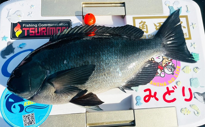 50cm超え筆頭に大型クロ（グレ）乱舞！【大分】一級磯のポテンシャルは圧巻